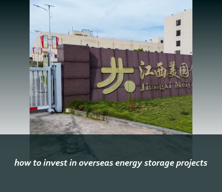 how to invest in overseas energy storage projects