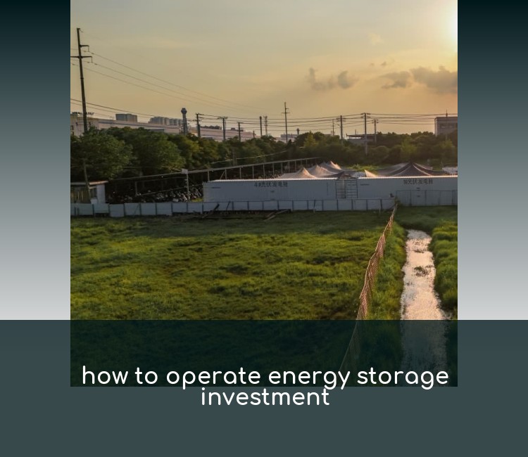 how to operate energy storage investment