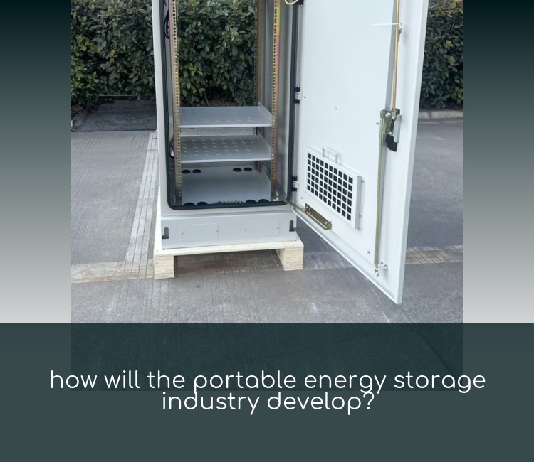 how will the portable energy storage industry develop?