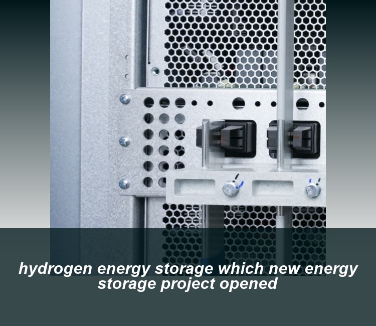 hydrogen energy storage which new energy storage project opened