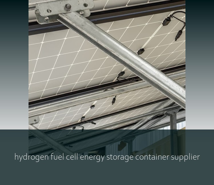 hydrogen fuel cell energy storage container supplier