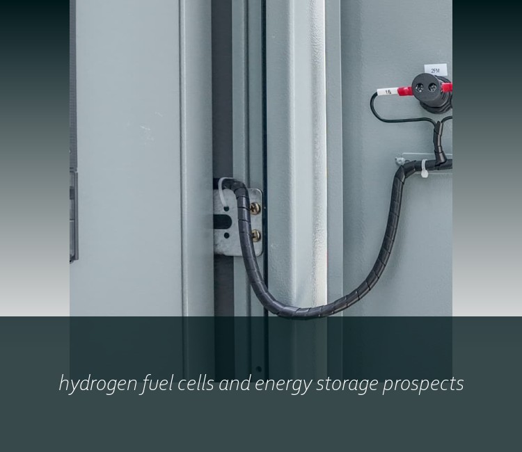 hydrogen fuel cells and energy storage prospects