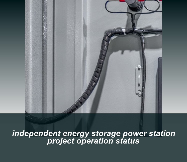 independent energy storage power station project operation status