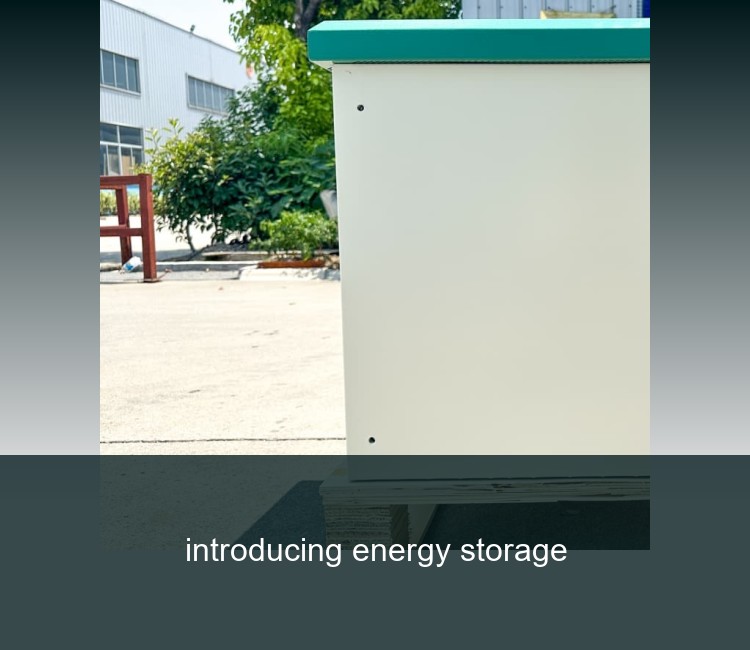 introducing energy storage