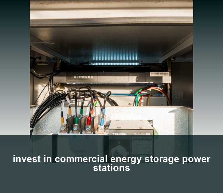 invest in commercial energy storage power stations