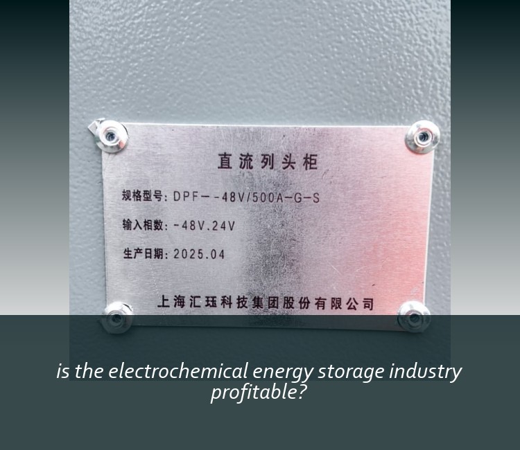 is the electrochemical energy storage industry profitable?