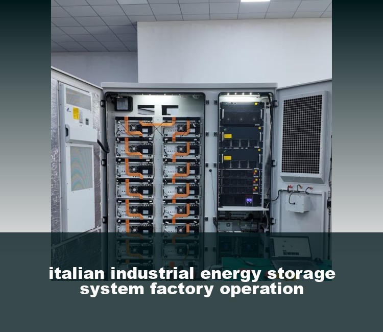 italian industrial energy storage system factory operation