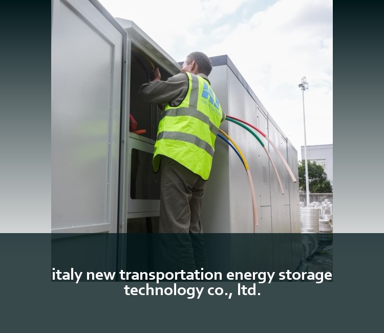 italy new transportation energy storage technology co., ltd.