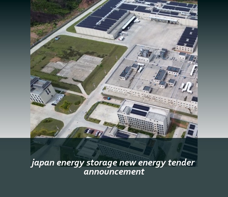 japan energy storage new energy tender announcement