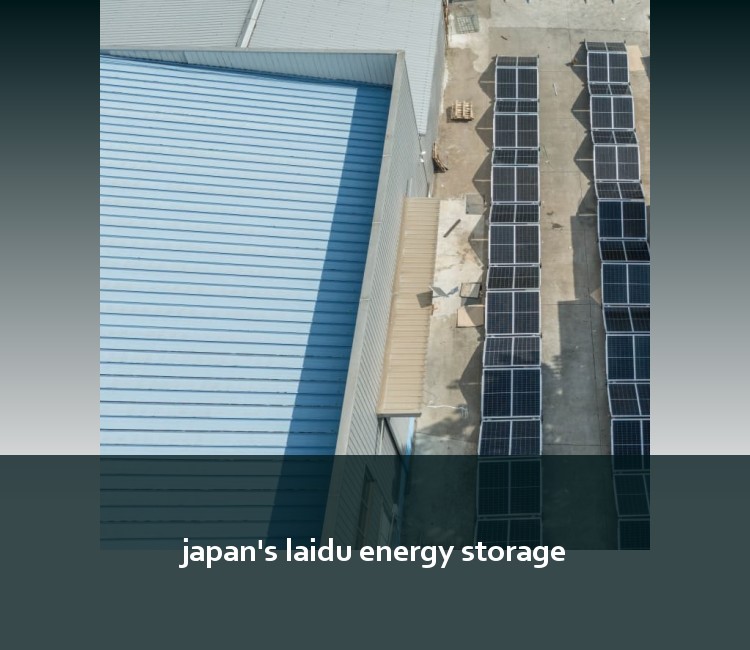 japan's laidu energy storage
