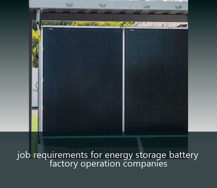 job requirements for energy storage battery factory operation companies