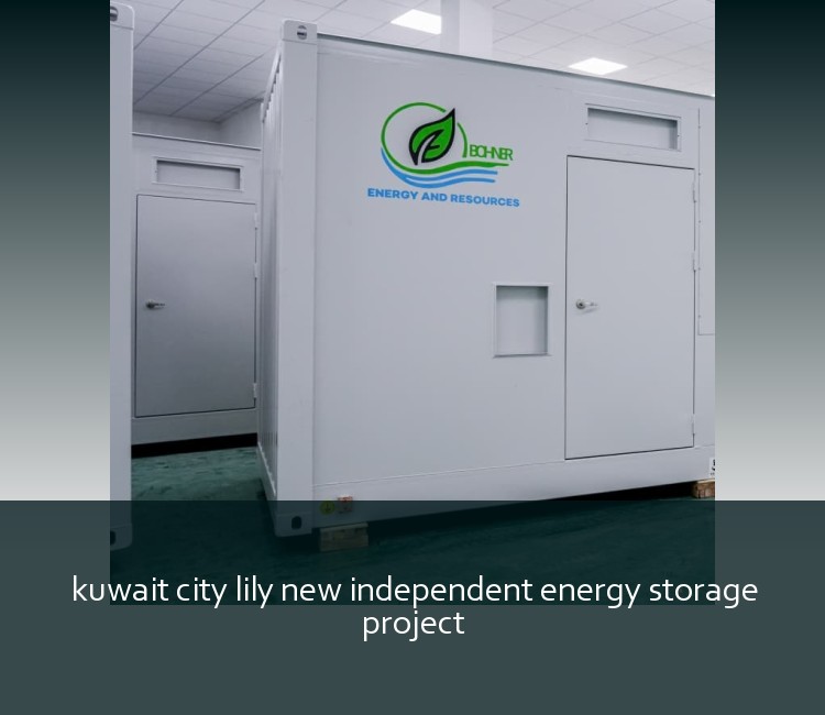 kuwait city lily new independent energy storage project