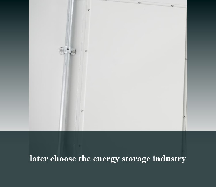 later choose the energy storage industry