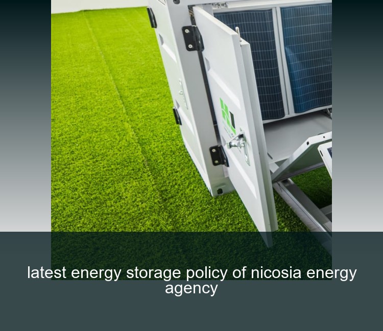 latest energy storage policy of nicosia energy agency