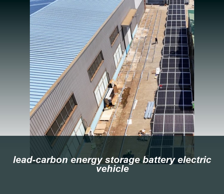 lead-carbon energy storage battery electric vehicle