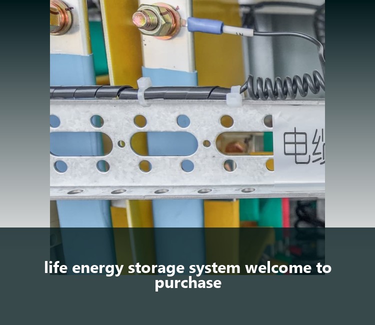 life energy storage system welcome to purchase