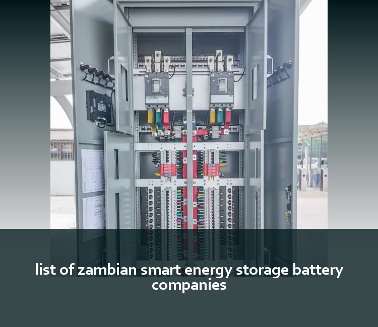 list of zambian smart energy storage battery companies