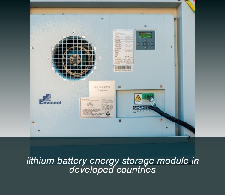 lithium battery energy storage module in developed countries