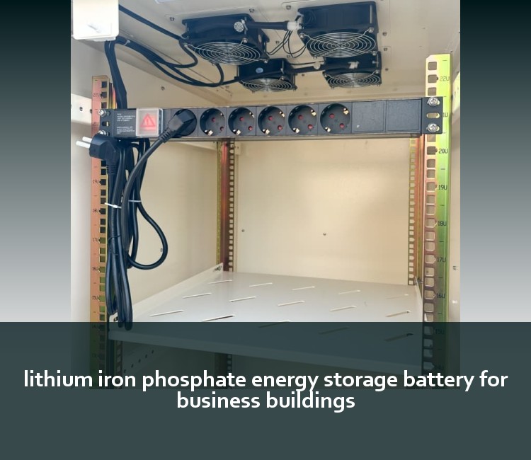 lithium iron phosphate energy storage battery for business buildings