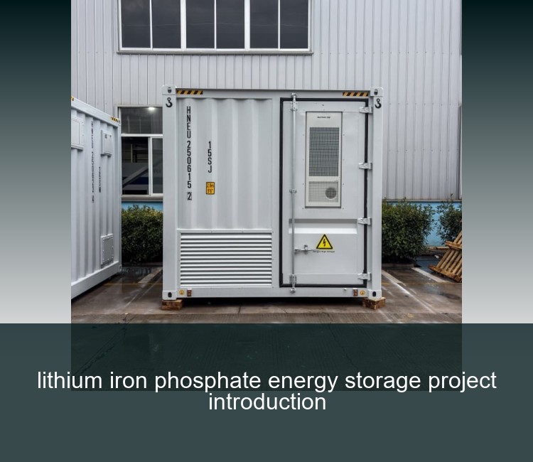 lithium iron phosphate energy storage project introduction