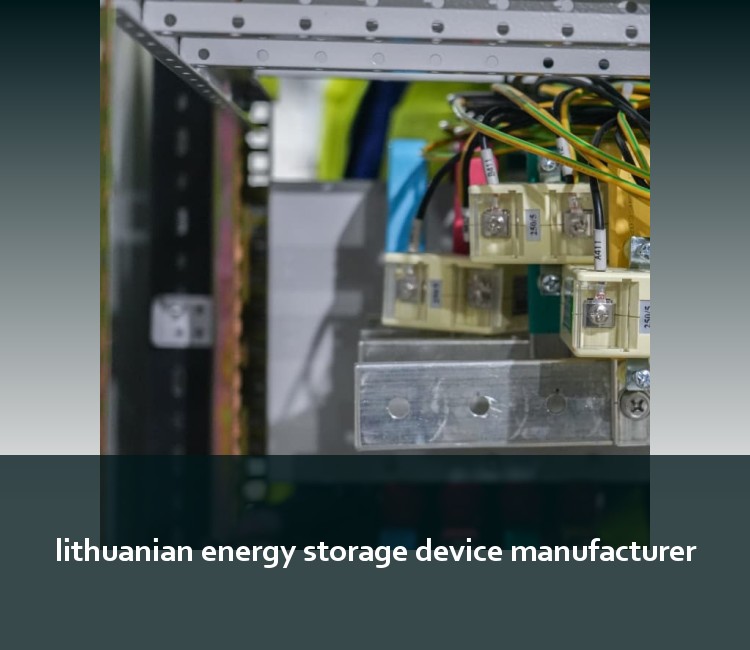 lithuanian energy storage device manufacturer
