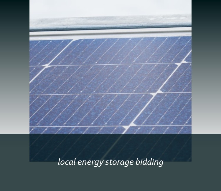 local energy storage bidding