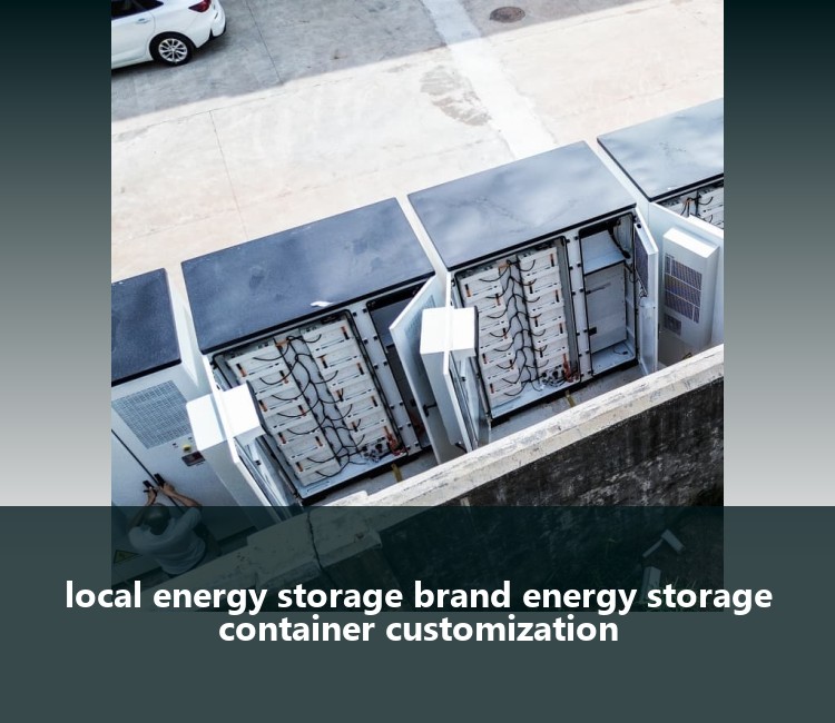 local energy storage brand energy storage container customization