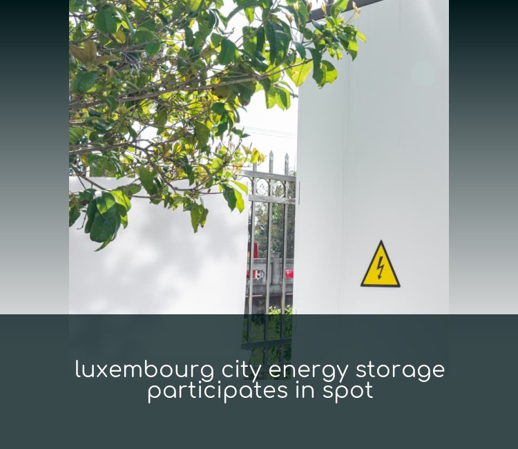 luxembourg city energy storage participates in spot