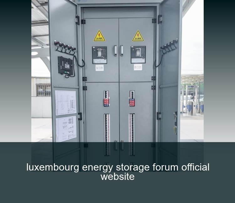 luxembourg energy storage forum official website