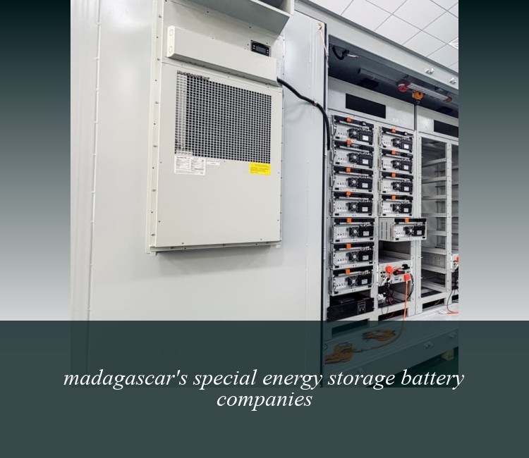 madagascar's special energy storage battery companies