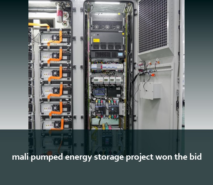 mali pumped energy storage project won the bid