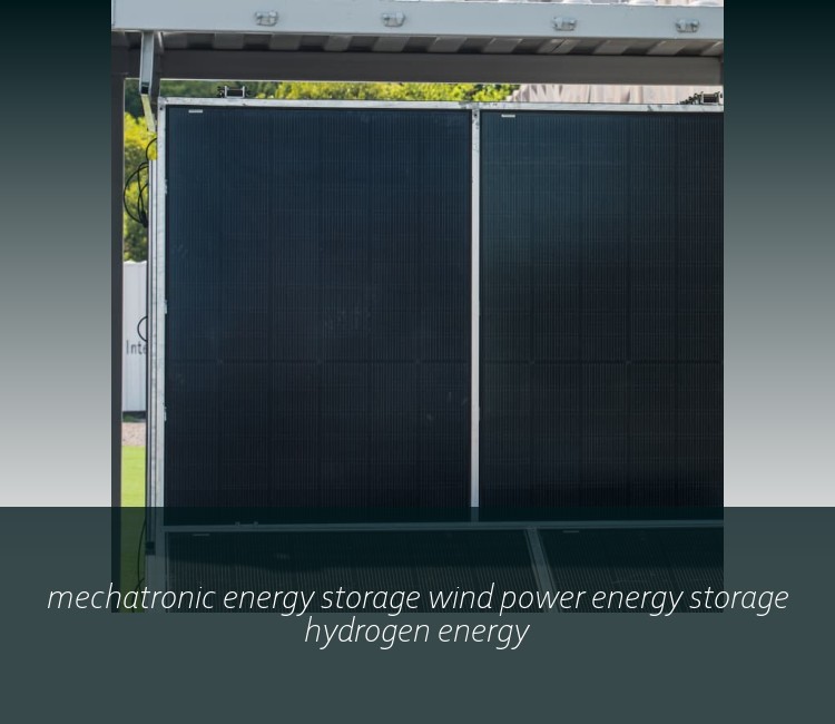 mechatronic energy storage wind power energy storage hydrogen energy