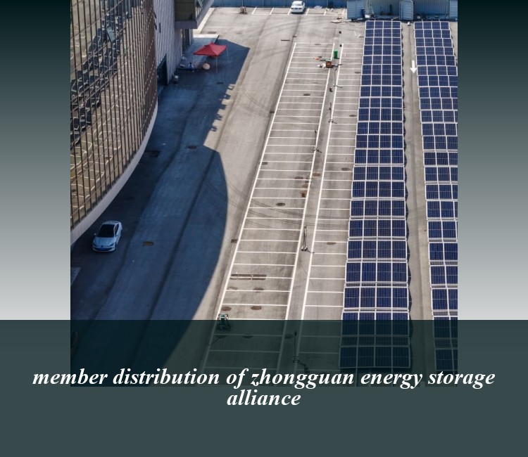 member distribution of zhongguan energy storage alliance