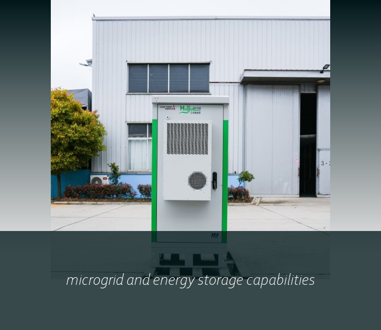 microgrid and energy storage capabilities
