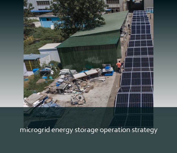 microgrid energy storage operation strategy