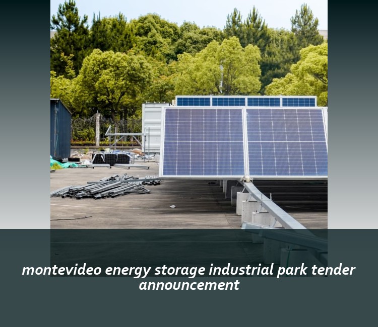 montevideo energy storage industrial park tender announcement