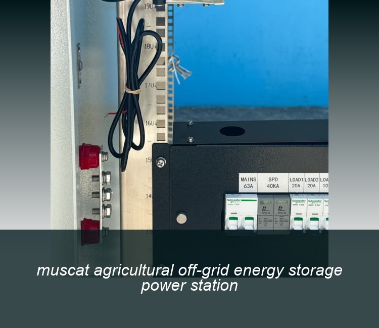 muscat agricultural off-grid energy storage power station