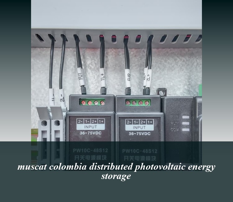 muscat colombia distributed photovoltaic energy storage
