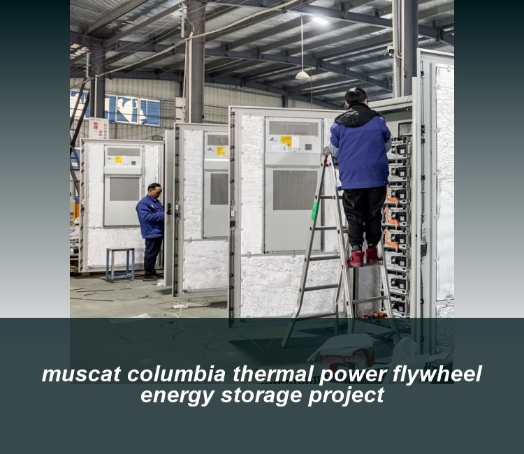 muscat columbia thermal power flywheel energy storage project