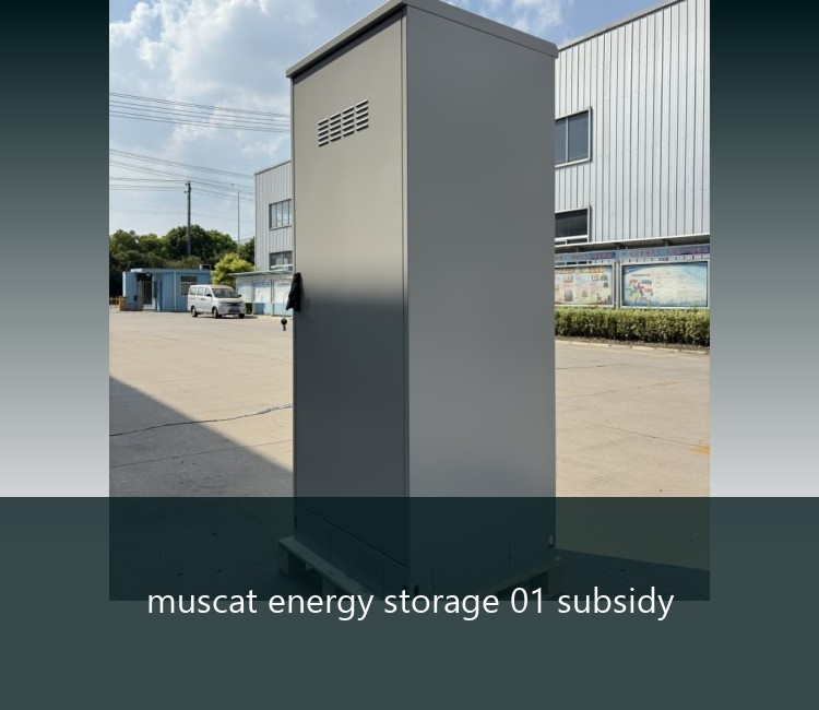 muscat energy storage 01 subsidy