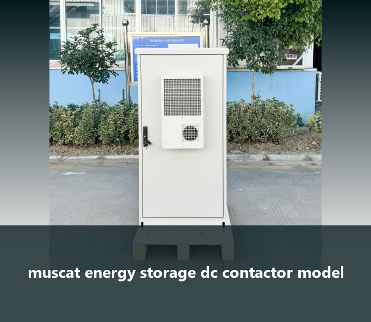 muscat energy storage dc contactor model