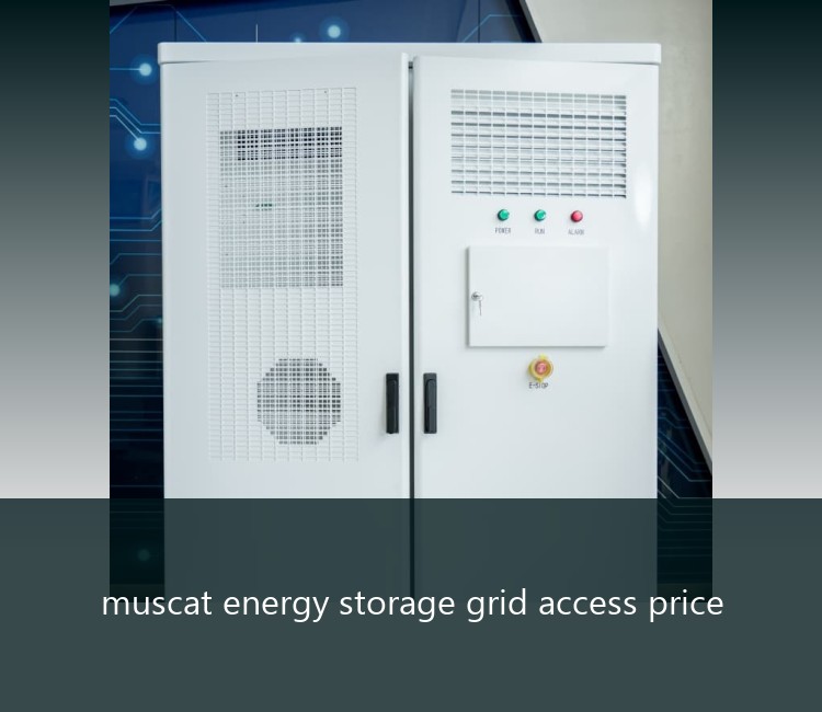 muscat energy storage grid access price