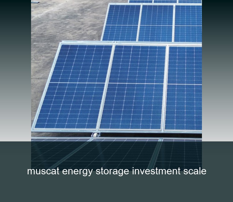 muscat energy storage investment scale