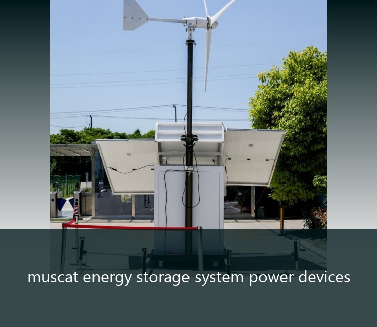 muscat energy storage system power devices