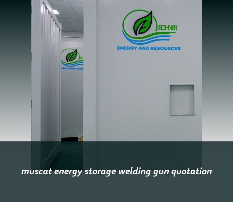 muscat energy storage welding gun quotation