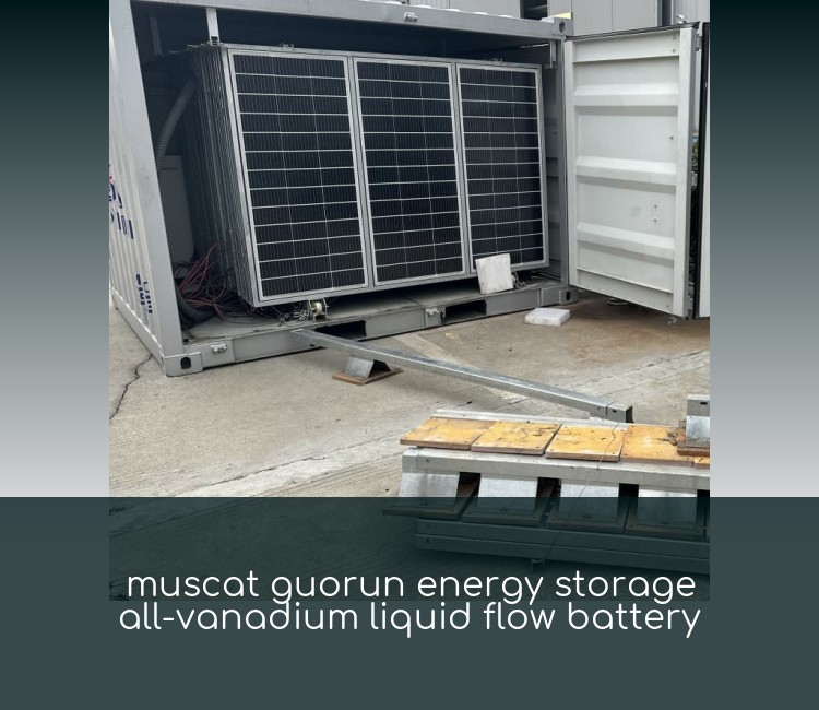 muscat guorun energy storage all-vanadium liquid flow battery