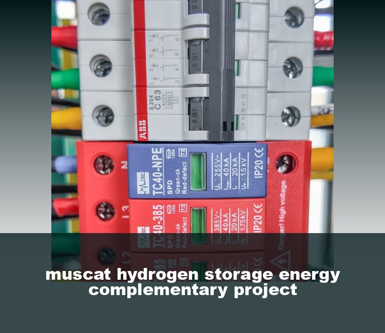 muscat hydrogen storage energy complementary project