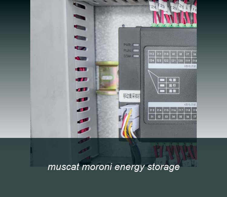 muscat moroni energy storage