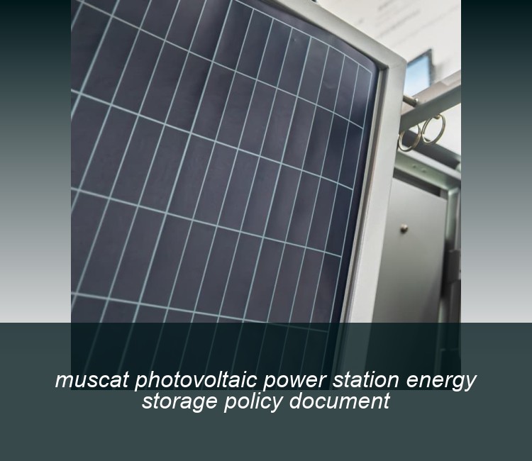 muscat photovoltaic power station energy storage policy document