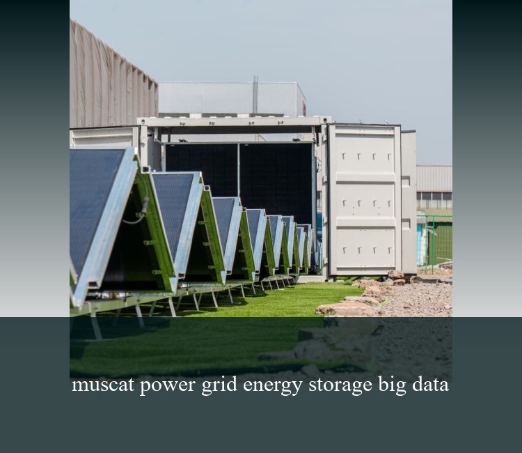 muscat power grid energy storage big data